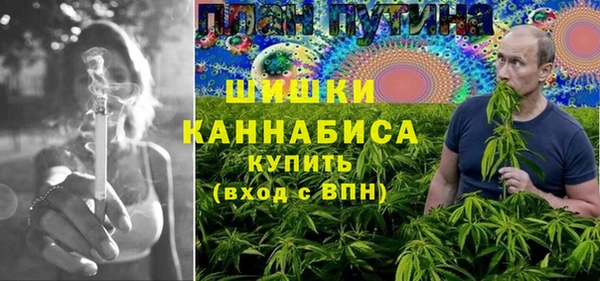 шишки Армянск