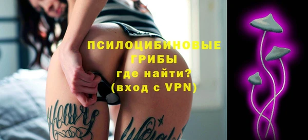 шишки Армянск