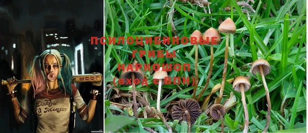 PSILOCYBIN Арсеньев