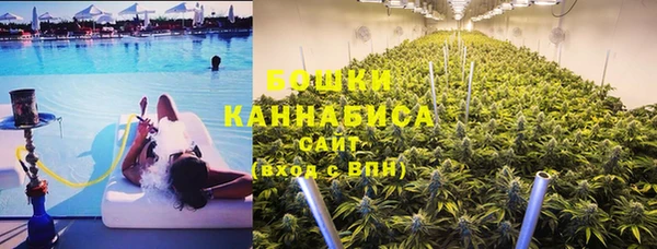 шишки Армянск