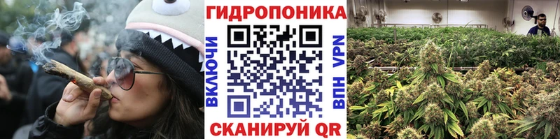 Канабис конопля Серафимович